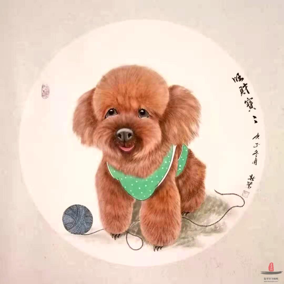 马新荣《旺财宝宝》